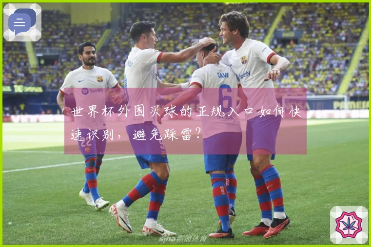 世界杯外围买球的正规入口如何快速识别，避免踩雷？