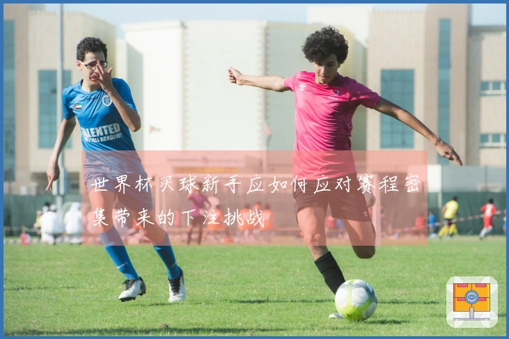 世界杯买球新手应如何应对赛程密集带来的下注挑战