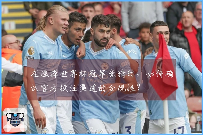 在选择世界杯冠军竞猜时，如何确认官方投注渠道的合规性？